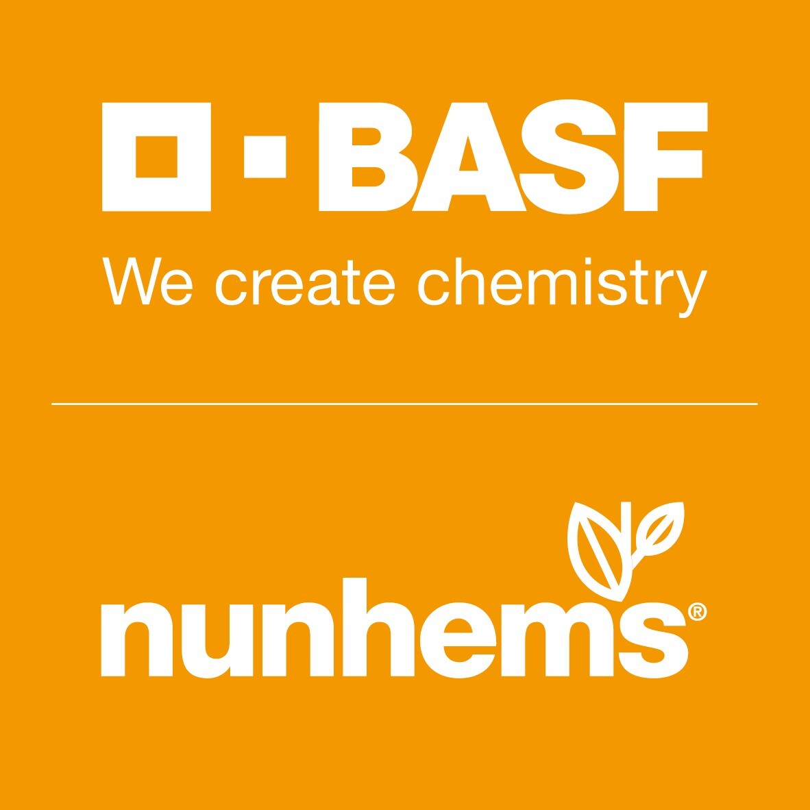 BASF logo